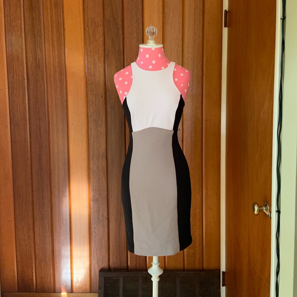 Express Color Block Dress